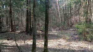 Про удары ногами по ногам в уличной драке