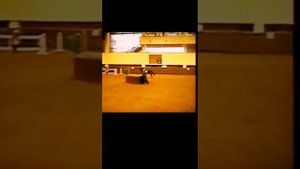 Падение с лошади ...