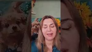 планерка.mp4