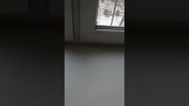 Ошибка при насадке топора обратным всадом