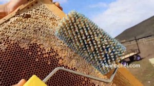 Валик для распечатки сот, удобно при подкормки пчел https://bashpchel.com