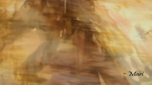 Tango Jointz ~ Tango D'Amor