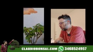 ANCHE UN CICLAMINO PUÒ DIVENTARE UN BONSAI