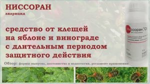 Ниссоран - обзор Ниссоран - средство от клещей на яблоне и винограде с длительным защитным эффектом