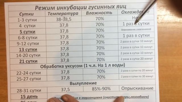 Лучший метод! Режим инкубации гусиных яиц/жизнь в деревне смотреть онлайн