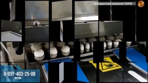 Отсадочная машина марки Сура - зефир, безе