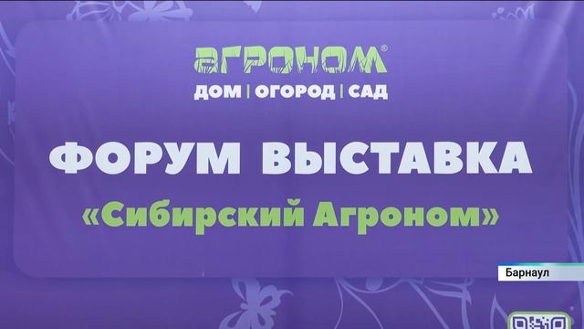 Новости Алтайского края 21 января 2025 года, выпуск в 6:05