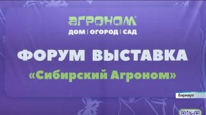 Новости Алтайского края 21 января 2025 года, выпуск в 6:05