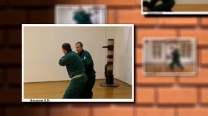 Никишов И.И.