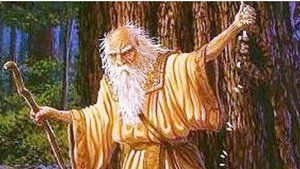 Огам. Магические свойства деревьев, что важно знать.