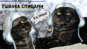 Тренд сезона 🐾 УШАНКА спицами из пуха норки с кеттлевкой для кота