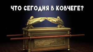 Что сегодня в ковчеге?