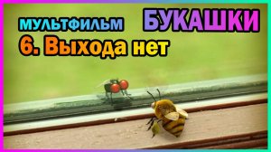 | Мультфильм | БУКАШКИ | 6. Выхода нет |