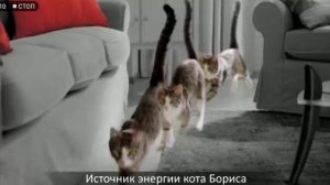 Китикет шел-шел-шел!!