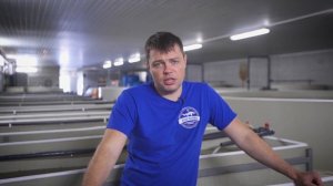 Решение суда «Нападение прокуратуры»