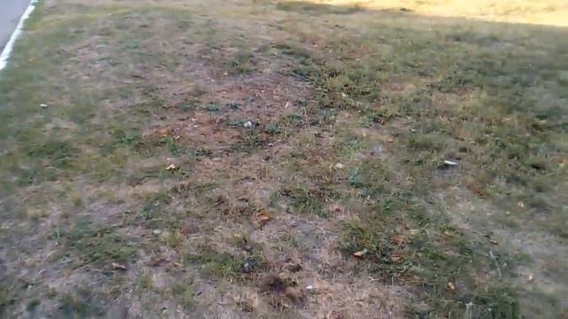 Злюсь , как собачка , капец!!!! смотреть онлайн