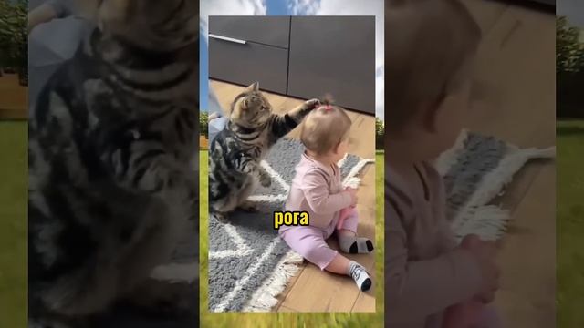 ВИРУСНЫЕ ВИДЕО #shorts #рекомендации #вирусноевидео