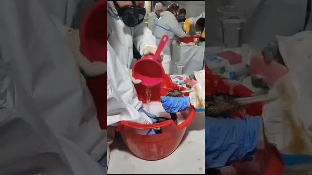 Волонтеры в Витязево записали позитивное видео