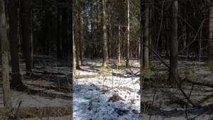 Ударная техника или борьба?