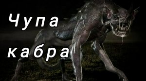 Кто такая чупакабра | Козий вампир!? Волк или лиса это мистическое существо? Славянская мифология.