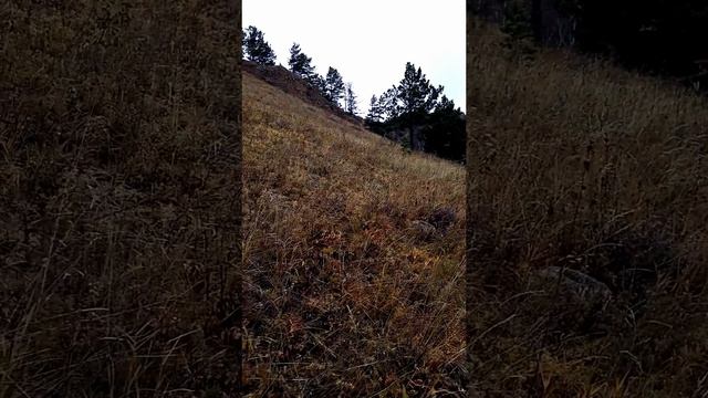 Большая Байкальская Тропа