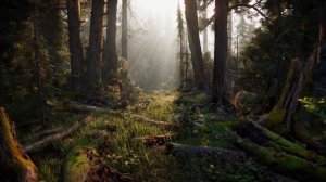 What are the Unity render pipelines and which to use? | HDRP vs URP 2022