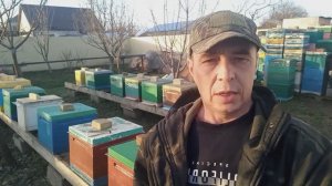 СЕКРЕТ успешной зимовки и развития пчел