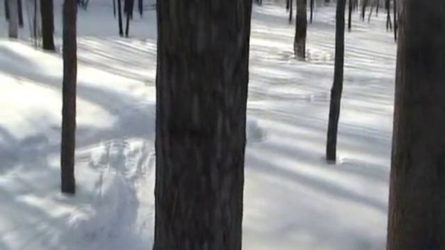 Февраль2010 Комсомольск-на-Амуре