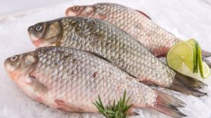 Зимняя рыбалка на карася...очень много рыбы