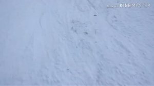 Захар Беркут 2019