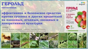 Герольд-эффективное и безопасное средство против гусениц и других садовых вредителей.Обзор 2025