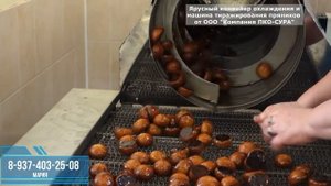 Машина (барабан) тиражирования пряников Сура БТ-400
