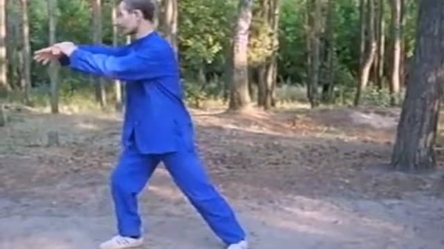 24 формы тао лу тайцзицюань. Стиль Ян.
