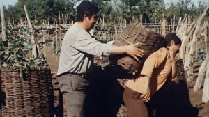 Грузинская комедия Здравствуй, сосед! СССР, Тамаз Гомелаури, 1973
