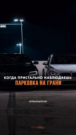 🤨А вы наблюдаете, когда рядом с вами паркуется другая машина? #shorts