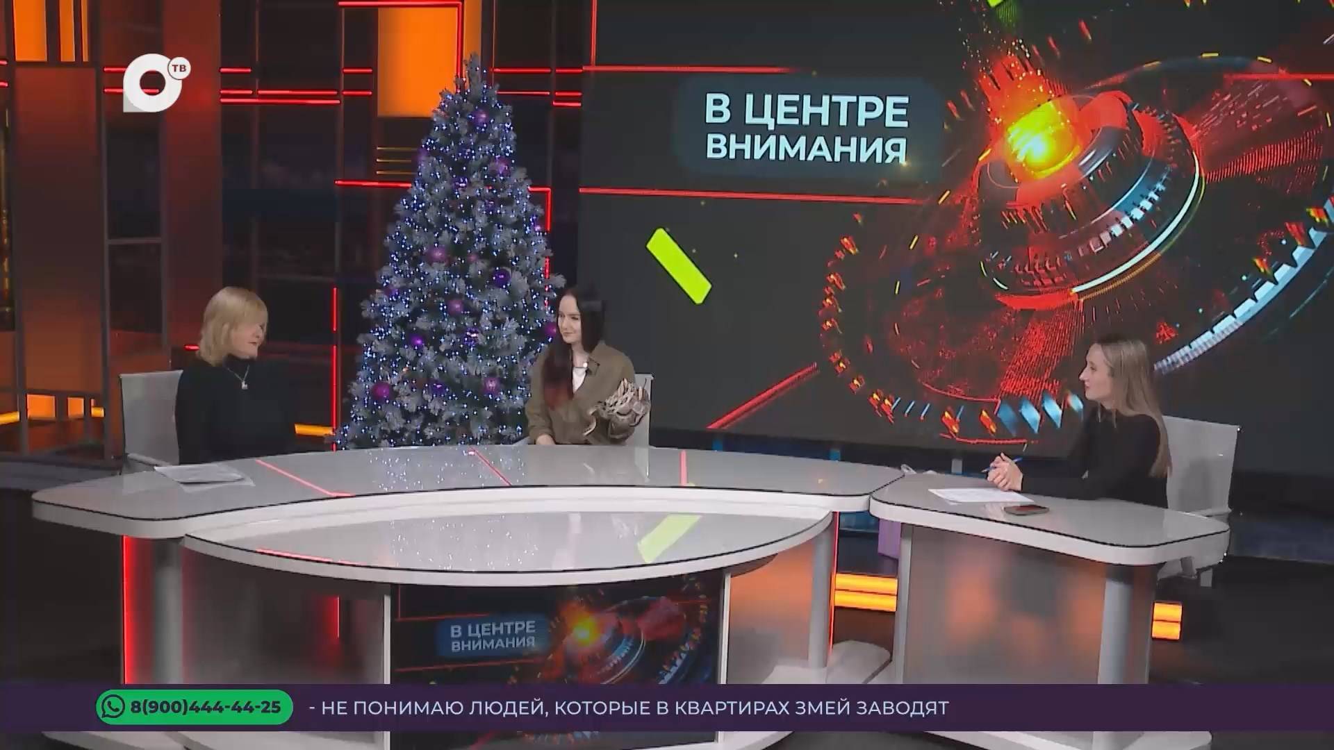 В центре внимания / Год змеи / 18.01.25