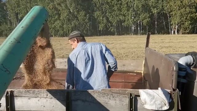 №44 Какую урожайность дала пшеница на 2-х полях?