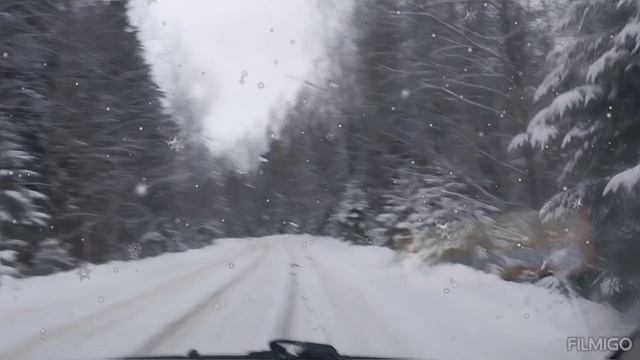 Зимняя дорога