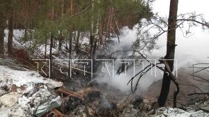 Поджог стал причиной пожара на нелегальной свалке в Московском районе