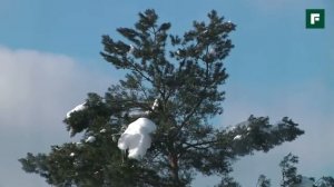 Уникальные технологии пассивного дома