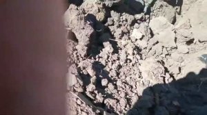 Клад пятаков Екатерины! 30.08.2020