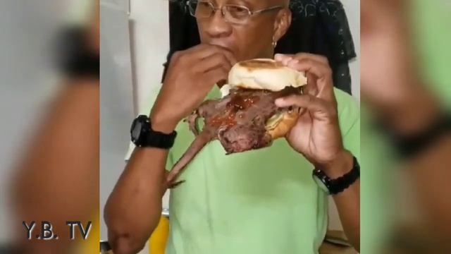 BIZARRE FOODS! Antiguan Man Eating Mongoose😱😱😲😲
