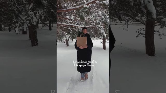 Волшебный декабрь в Сафари-парке