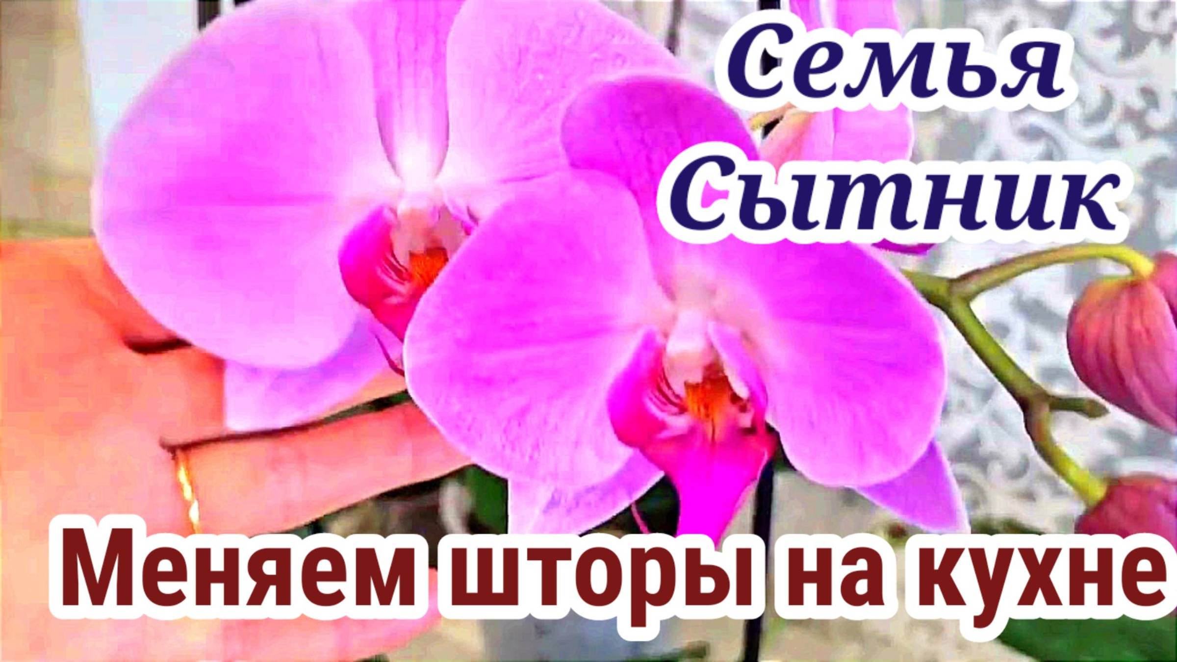 Семья Сытник- Меняем шторы на кухне!