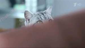 Реклама Вискас Whiskas Мясной Паштет - Хозяин умеет удивлять