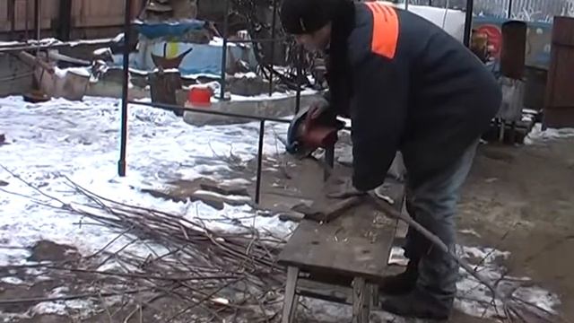 Бесплатный забор 2. Подготаливаем прут ясеня на тын. смотреть онлайн