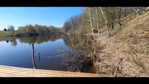 Богородское