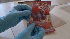 ПОЛУЧИЛА ПИСЬМО С СЕМЕНАМИ ТОМАТОВ ОТ САД-ОГОРОД МЕДВЕДЕВЫХ