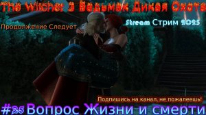 The Witcher 3 Ведьмак Дикая Охота Stream стрим 2025 Полное прохождение #25 Вопрос Жизни и смерти