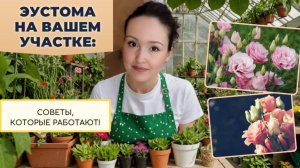 Росскошь на вашем участке!